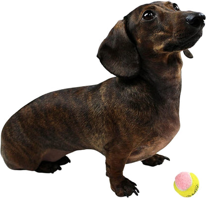 X-Small Dog Tennis Balls 1.5" Pack of 12